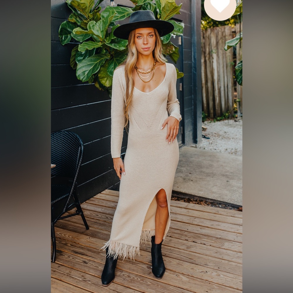 Saylor Evie Lou Fringe Dress